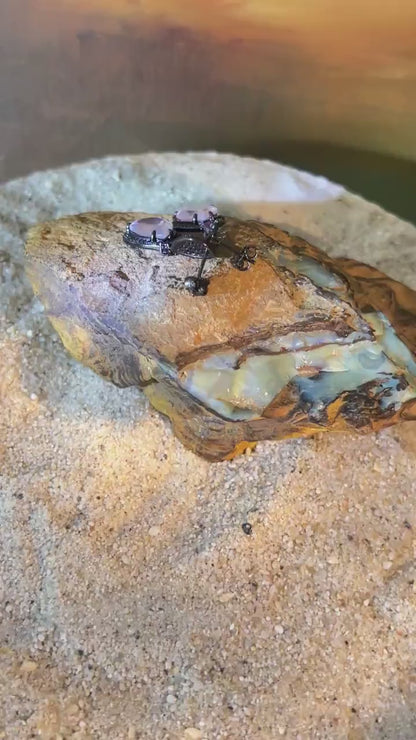 Mein Preis  Rosenquarz mit Rhodolith und Natur Zirkon in Sterlingsilber geschwärzt